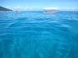 屋久島を訪れる方、誰もが海の青さに感動します！