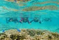 久米島は沖縄諸島の最も西に位置する島です。細長い形が特徴的で、美しいサンゴ礁が魅力です。