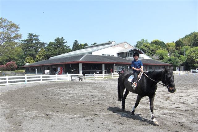 鹿児島県にある霧島高原乗馬クラブでは、初心者歓迎の乗馬体験ができます。
