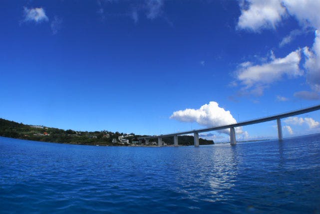 沖縄でダイビングするならMDSで！初心者から経験者まで対応したプランをご提案します。