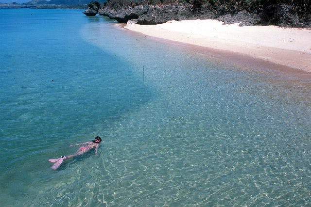 石垣島サンセットビーチでは、シュノーケリングツアーを開催しております。