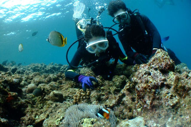 沖縄にあるマリンスターでダイビング体験！透明感あふれるケラマの海が舞台です。