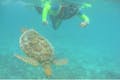 奄美大島の海は透明感バツグン！中を覗けばサンゴ礁やカラフルな魚たちがお出迎えします。