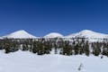 映画のロケ地としても有名な八甲田山は、雪景色が美しい山地です。