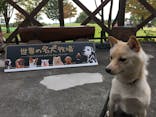 世界の名犬牧場に投稿された画像（2017/10/8）