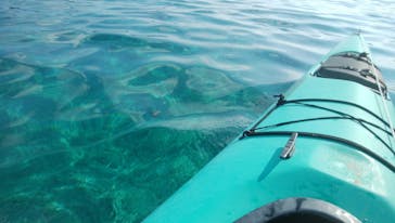 Gulfblue kayaks（ガルフブルーカヤックス）に投稿された画像（2017/11/7）