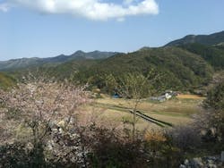 日高村観光協会に投稿された画像（2018/4/1）