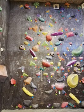 Ever Free Climbing Gym（エバーフリークライミングジム）に投稿された画像（2019/4/27）