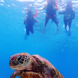 青色のシーズンに投稿された画像(2019/8/16)