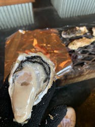 菊陽かき小屋に投稿された画像(2020/3/28)