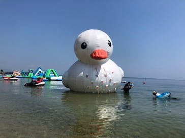 フライボード琵琶湖 白ひげビーチ店に投稿された画像（2020/8/21）