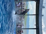 大分マリーンパレス水族館 「うみたまご」に投稿された画像（2020/8/25）