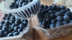 酒々井まがり家に投稿された画像(2022/8/9)