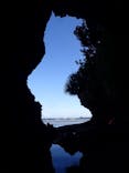 スローダイブ石垣島に投稿された画像（2022/11/21）