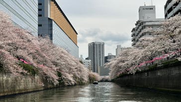 東京ウォータウェイズに投稿された画像（2023/4/8）