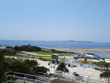 ラド観光 沖縄営業所に投稿された画像（2023/6/4）