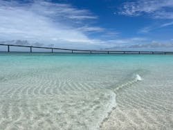 Marine&SportsSUIRENに投稿された画像(2023/6/23)