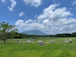 小岩井農場まきば園に投稿された画像（2023/6/24）