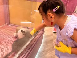 原宿かわいいランドキュンキュンに投稿された画像(2023/7/20)