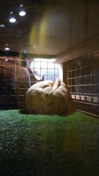 ぶっとんでるいきもの展に投稿された画像(2023/8/28)