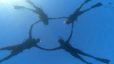 本部ダイビングショップTI.OCEANに投稿された画像（2023/8/29）