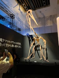 DinoScience 恐竜科学博 2023@TOKYO MIDTOWNに投稿された画像（2023/9/21）