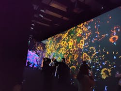 チームラボに投稿された画像(2023/12/1)