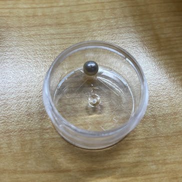三重県真珠に投稿された画像（2023/12/23）