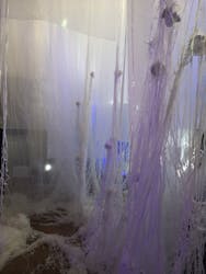 愛知県指定有形文化財 伊藤家住宅×花とデジタルアートの祭典 2023-2024に投稿された画像(2024/1/15)