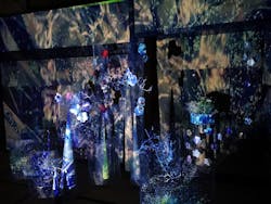 愛知県指定有形文化財 伊藤家住宅×花とデジタルアートの祭典 2023-2024に投稿された画像(2024/1/15)