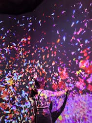 チームラボに投稿された画像(2024/1/25)