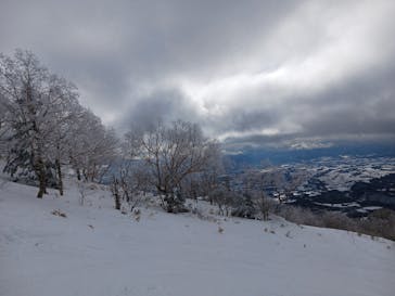 網張温泉スキー場に投稿された画像（2024/1/28）