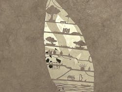 柴田あゆみ かみがみの森に投稿された画像(2024/3/8)