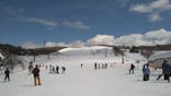 ひるがの高原スキー場に投稿された画像（2024/3/10）