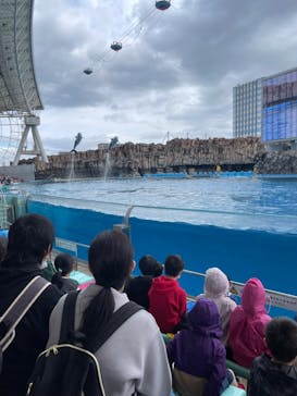 名古屋港水族館に投稿された画像（2024/3/29）