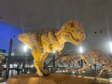 福井県立恐竜博物館に投稿された画像（2024/4/18）
