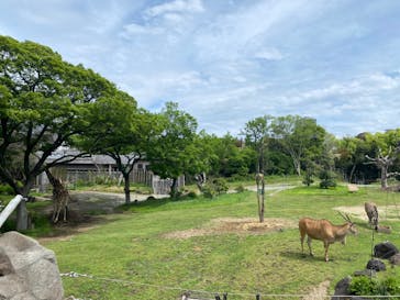 天王寺動物園に投稿された画像（2024/4/24）