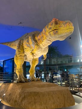 福井県立恐竜博物館に投稿された画像（2024/4/25）