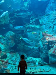 大分マリーンパレス水族館 「うみたまご」に投稿された画像（2024/4/27）