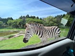 秋吉台自然動物公園 サファリランドに投稿された画像（2024/4/28）