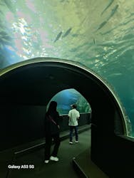 串本海中公園水族館に投稿された画像（2024/4/28）