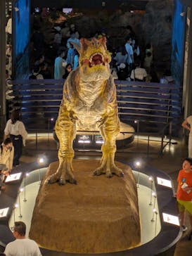福井県立恐竜博物館に投稿された画像（2024/5/3）