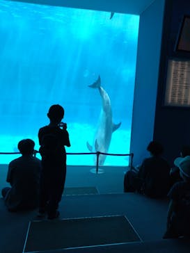 名古屋港水族館に投稿された画像（2024/5/3）