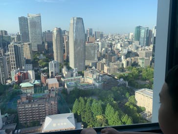 東京タワーに投稿された画像（2024/5/5）