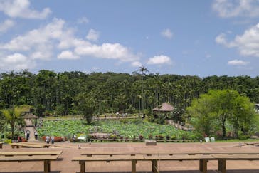 美らヤシパークオキナワ・東南植物楽園に投稿された画像（2024/5/5）