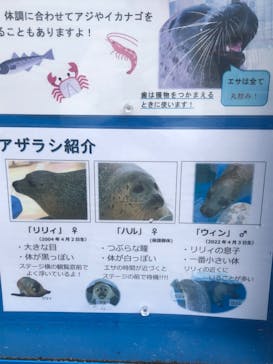 越前松島水族館に投稿された画像（2024/5/5）