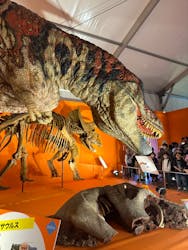 オダイバ恐竜博覧会2024 -福井から“ヤツラ”が新幹線でやってくる！-に投稿された画像（2024/5/9）