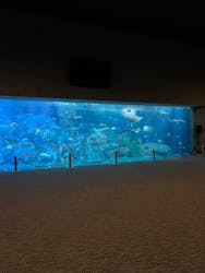 大分マリーンパレス水族館 「うみたまご」に投稿された画像（2024/5/9）
