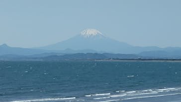 新江ノ島水族館に投稿された画像（2024/5/10）