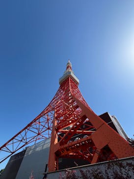 東京タワーに投稿された画像（2024/5/11）